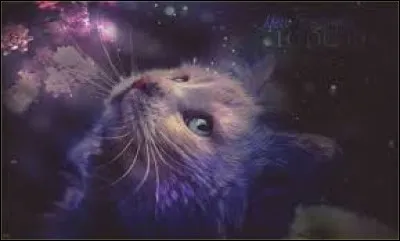 Qui ferais-tu passer avant toi ?