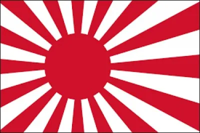 Un char japonais, c'est ...