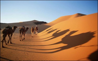 Parmi ces pays, lequel n'est pas traversé par le désert du Sahara ?