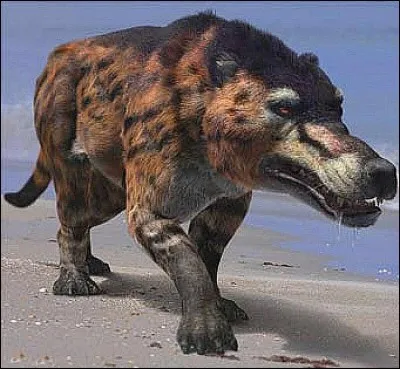 Dans quel désert a été découvert le crâne d'un Andrewsarchus, plus gros mammifère carnivore ayant existé ?