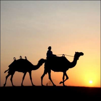 Comment appelle-t-on une randonnée dans le désert à dos de chameau ?