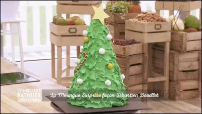 Avec qui était-elle en duo pour "Le meilleur pâtissier, spécial Noël" ?