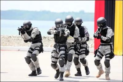 Comment s'appellent les gardes ?