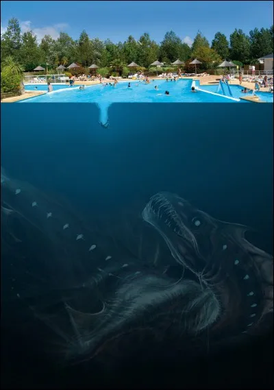 Qui est l'aquatic horreur ?