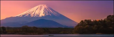 Y a-t-il des cerises au Japon ?