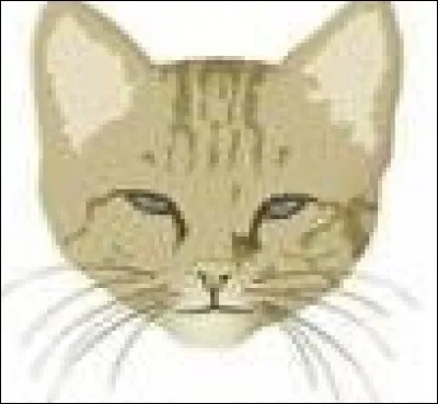 Que vous fait-il passer comme message ?