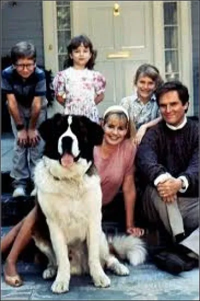 Cinéma : Quelle est la race de Beethoven héros du film du même nom sorti en 1992 ?