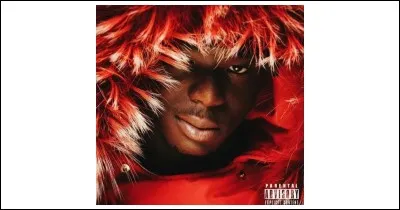 Qui est ce chanteur ?