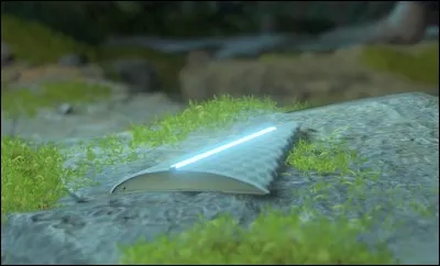 Comment s'appelle l'appareil sur ses cheveux ?