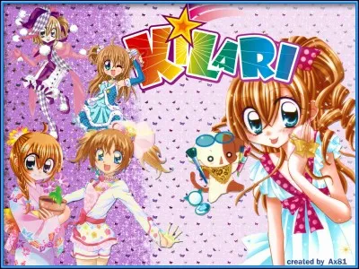 Combien y a-t-il de saisons ?