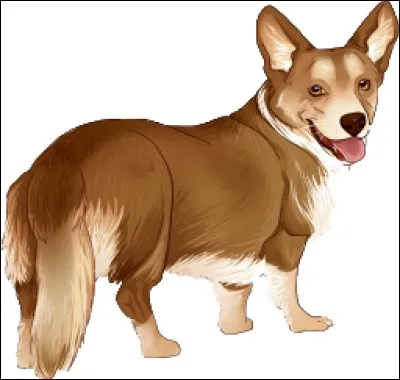 Si Kiki (le chien de la directrice) s'&eacute;chappe pour une &eacute;ni&egrave;me fois, tu :