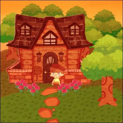 As-tu les extensions de ta maison ?