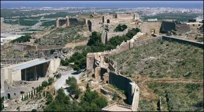 Le siège de six mois de cette ville par Hannibal constitue le déclenchement de la seconde guerre punique. Au début de l'année 218 - avant J-C - la ville tombe aux mains des Carthaginois. De quelle ville s'agit-il ?