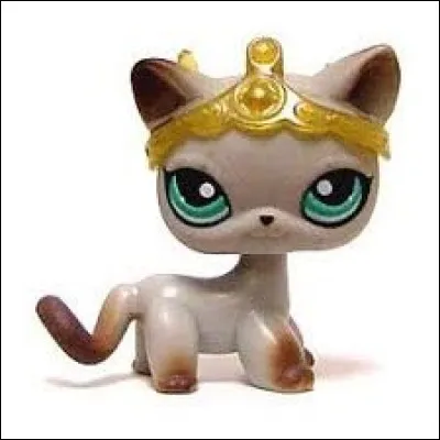 Quel est ce petshop ?