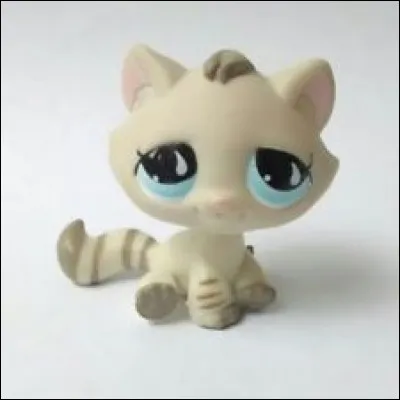 Quel est ce petshop ?