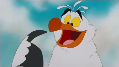 Comment s'appelle cette mouette ?