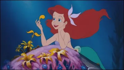 Que collectionne Ariel ?