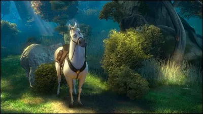 Le cheval s'appelle...