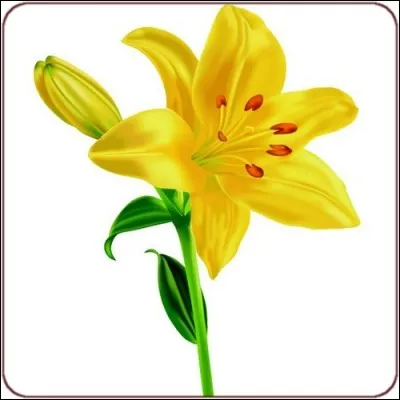 Quelle est cette couleur ?