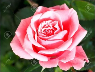 Quelle est cette couleur ?