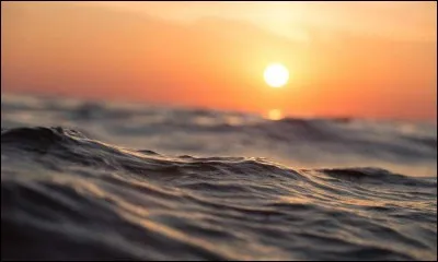 A qui doit-on la chanson "Rayon de soleil" en 2008 ?