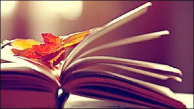 Ton style de lecture préféré est...