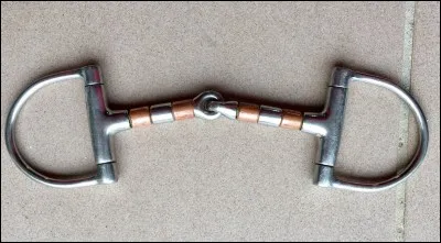 Quel est le nom de ce mors ?