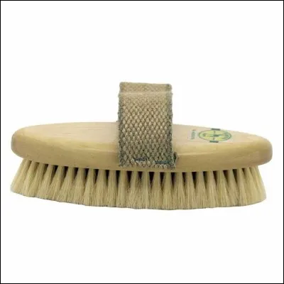 Comment s'appelle cette brosse ?