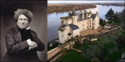 François Rabelais, Gustave Flaubert et, surtout, Alexandre Dumas père parlèrent de ce lieu dans leurs romans. Depuis 2016, il accueille un musée d'art contemporain.
Quel est ce château ?