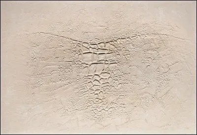 Et le blanc se gaufre au point de craquer. De quel plasticien italien, né en Ombrie, décédé à Nice, est cette vision qualifiée de traumatisante ?