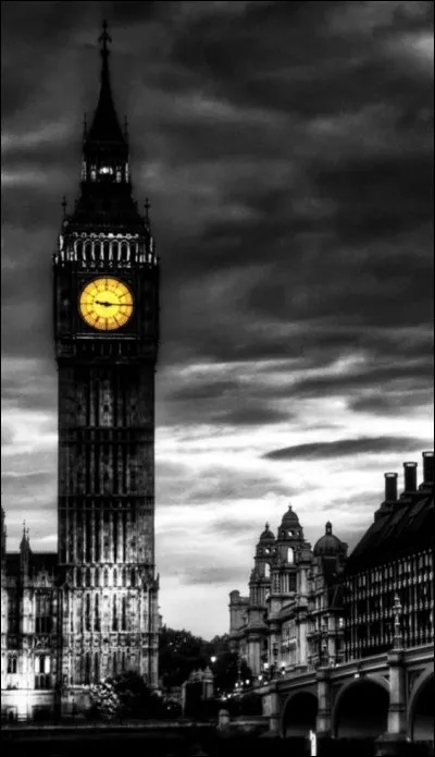 Qui chantait "Excuse moi Sir, mais j'entends plus Big Ben qui sonne, les Scarabées bourdonnent, c'est la folie à London" ?