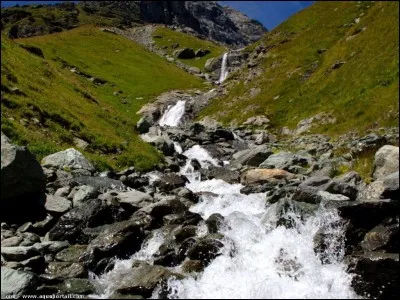 Complétez : "Ce ... d'eau est vraiment magnifique !".