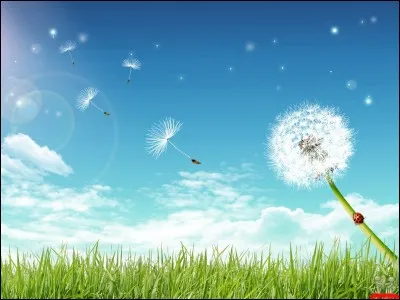 Chaud, il est plus léger que froid.