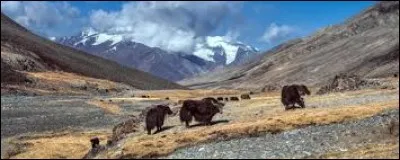 Quelle est la capitale du Tadjikistan ?