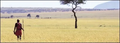 En 2009, une société de chasse des Emirats arabes unis a fait (un peu) parler d'elle. Pourquoi ?