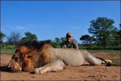 Donc, pour résumer, il n'est plus possible d'abattre impunément un lion aujourd'hui en Afrique ?