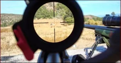 Tout de même, la chasse au lion reste dangereuse, non ?