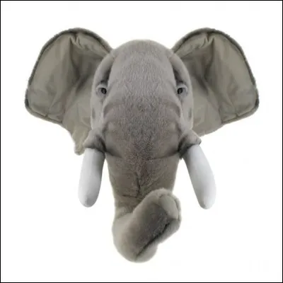 En tous cas, les éléphants au moins, eux, sont tranquilles maintenant... En est-on si sûr ?