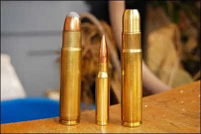 «Et pour continuer de rêver, le chasseur peut espérer faire partie de ces quelques heureux élus qui prélèvent chaque année des éléphants portant des défenses de plus de 100 livres». Qui a pu écrire cela ?