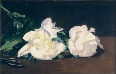 Qui a peint "Branche de pivoine blanche et sécateur" ?