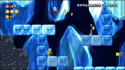 Dans quel monde se trouve ce niveau ?