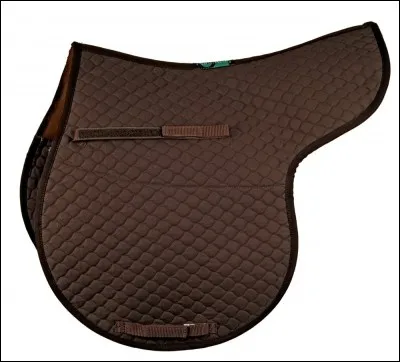 Comment s'appelle cet accessoire ?