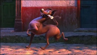 Comment s'appelle le chien loufoque de Miguel ?