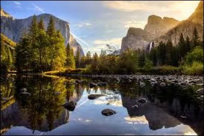 Quelle est ton activité préférée ?