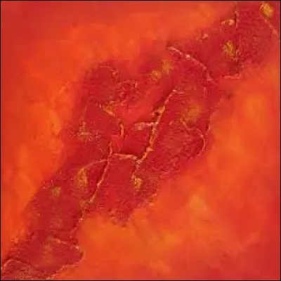 Dans cette expression du visage nous avons carrément tout l'or du monde.