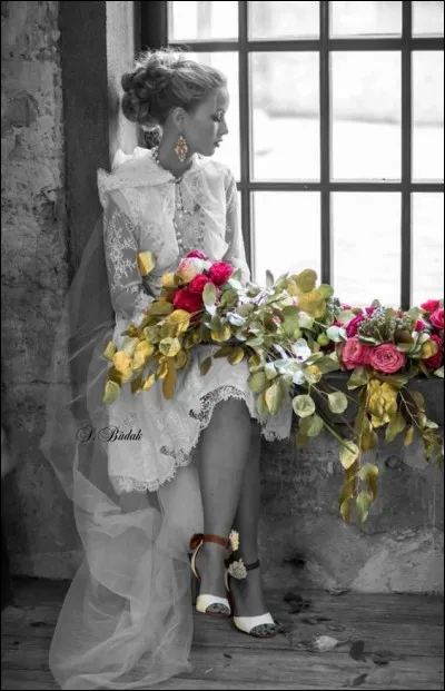 À quel écrivain doit-on le livre "Fenêtre sur cour" ?