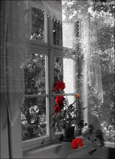 Qui décrivait la fenêtre de la maison paternelle par les vers "Autour du toit qui nous vit naître, un pampre étalait ses rameaux, ses grains dorés par la fenêtre, attiraient les petits oiseaux", dans un poème extrait du recueil "Méditations poétiques" (plus connu pour avoir écrit Le lac ou l'Isolement) ?