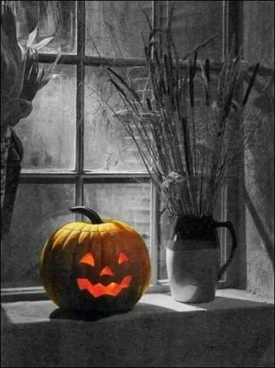 Dans quelle chanson de Francis Cabrel, peut-on entendre "Sans doute on verra apparaître quelques dessins sur la buée des fenêtres, vous, vous jouerez dehors comme les enfants du nord..." ?