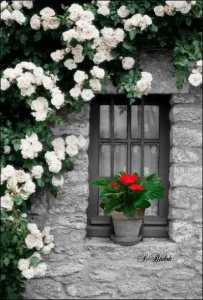 Dans le roman de Simenon "La fenêtre des Rouet", qui est le personnage principal ?