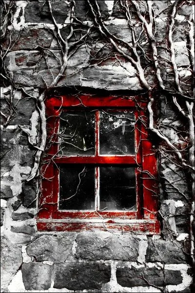 À quoi peut vous servir une fenêtre ?